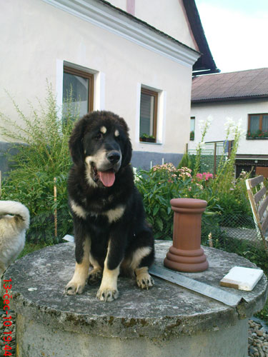červenec 2010
