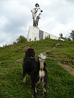 Září 2010 | ASIM - Tibeťák | Tibetská doga