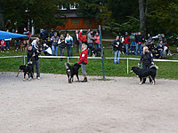 Klubové dny a Speciální výstava pořádaná Klubem Tibetské dogy na Slovensku 18. - 19.9.2010 | ASIM - Tibeťák | Tibetská doga