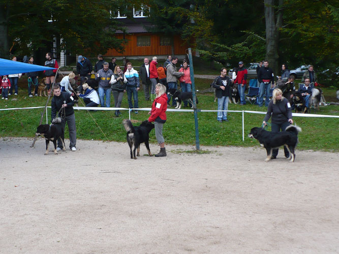 Klubové dny a Speciální výstava pořádaná Klubem Tibetské dogy na Slovensku 18. - 19.9.2010