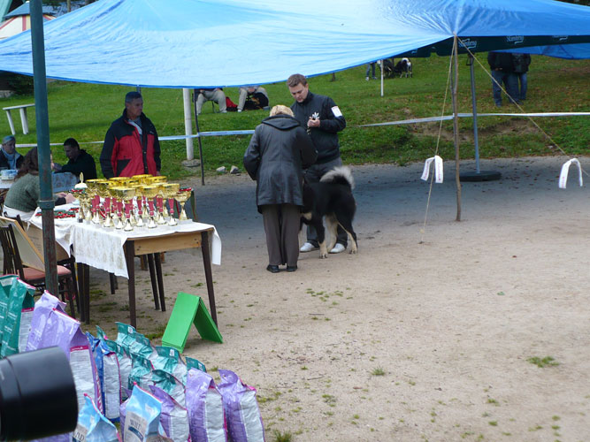 Klubové dny a Speciální výstava pořádaná Klubem Tibetské dogy na Slovensku 18. - 19.9.2010