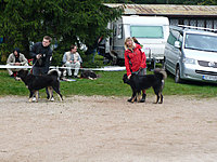 Klubové dny a Speciální výstava pořádaná Klubem Tibetské dogy na Slovensku 18. - 19.9.2010 | ASIM - Tibeťák | Tibetská doga