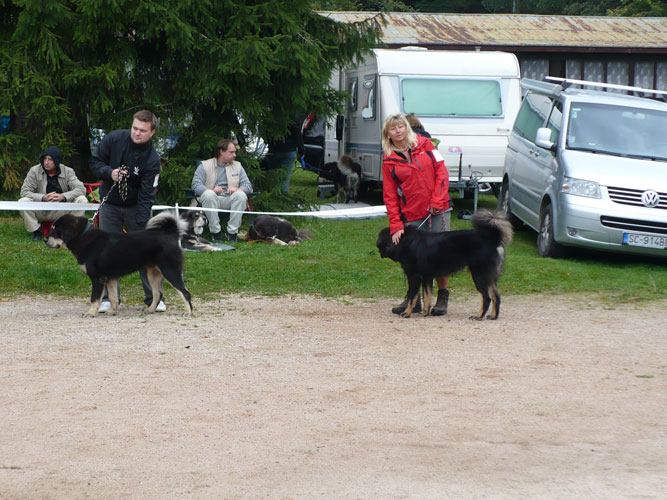 Klubové dny a Speciální výstava pořádaná Klubem Tibetské dogy na Slovensku 18. - 19.9.2010