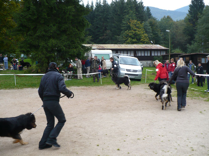 Klubové dny a Speciální výstava pořádaná Klubem Tibetské dogy na Slovensku 18. - 19.9.2010