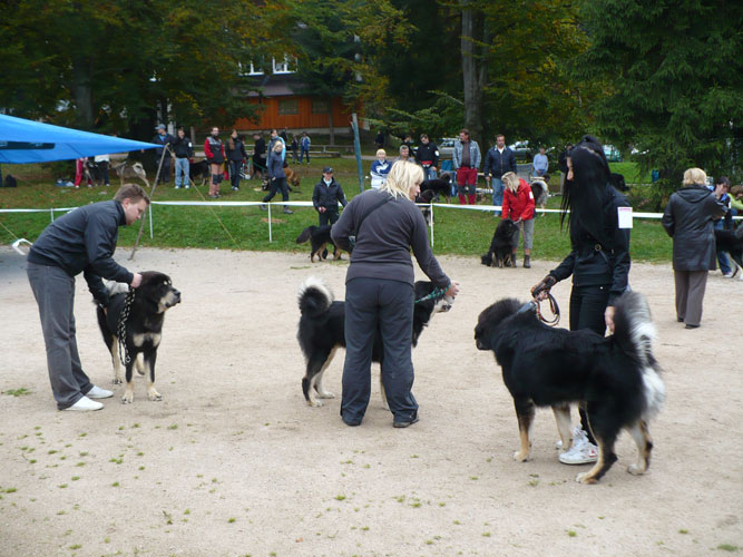 Klubové dny a Speciální výstava pořádaná Klubem Tibetské dogy na Slovensku 18. - 19.9.2010