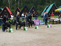 Klubové dny a Speciální výstava pořádaná Klubem Tibetské dogy na Slovensku 18. - 19.9.2010 | ASIM - Tibeťák | Tibetská doga