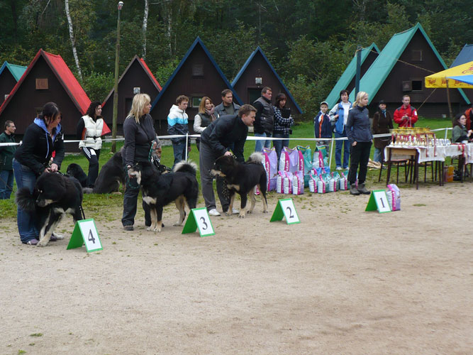 Klubové dny a Speciální výstava pořádaná Klubem Tibetské dogy na Slovensku 18. - 19.9.2010