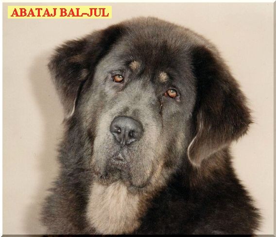 ABATAJ Bal-Jul CS, 3. generace