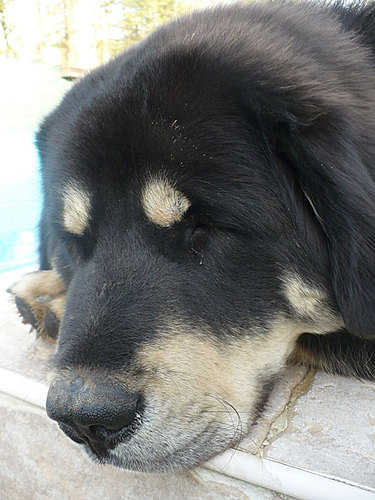 Říjen 2010