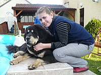 Říjen 2010 | ASIM - Tibeťák | Tibetská doga Říjen 2010 | ASIM - Tibeťák | Tibetská doga