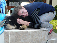 Říjen 2010 | ASIM - Tibeťák | Tibetská doga