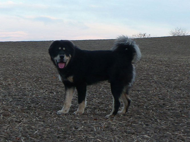 Říjen 2010