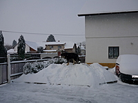 Prosinec 2010 | ASIM - Tibeťák | Tibetská doga