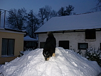 Prosinec 2010 | ASIM - Tibeťák | Tibetská doga