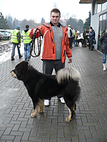 VI. Hanácká národní výstava psů 8.1.2011 | ASIM - Tibeťák | Tibetská doga