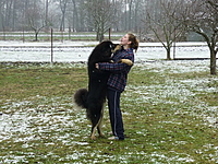 Leden 2011 | ASIM - Tibeťák | Tibetská doga