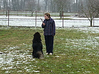 Leden 2011 | ASIM - Tibeťák | Tibetská doga