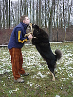 Leden 2011 | ASIM - Tibeťák | Tibetská doga