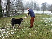 Leden 2011 | ASIM - Tibeťák | Tibetská doga