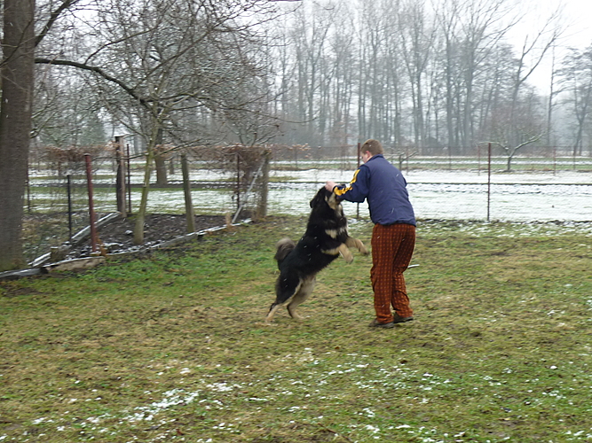 Leden 2011