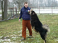 Leden 2011 | ASIM - Tibeťák | Tibetská doga
