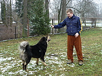 Leden 2011 | ASIM - Tibeťák | Tibetská doga