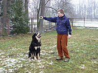 Leden 2011 | ASIM - Tibeťák | Tibetská doga