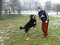 Leden 2011 | ASIM - Tibeťák | Tibetská doga