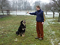 Leden 2011 | ASIM - Tibeťák | Tibetská doga