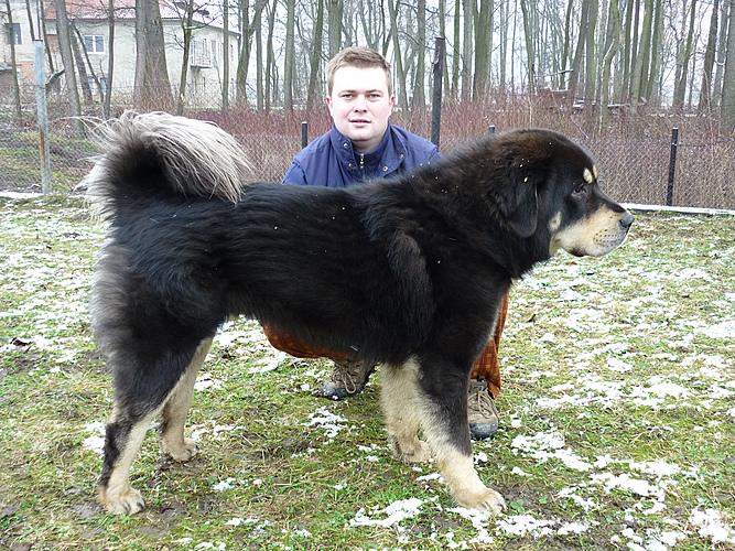 Leden 2011