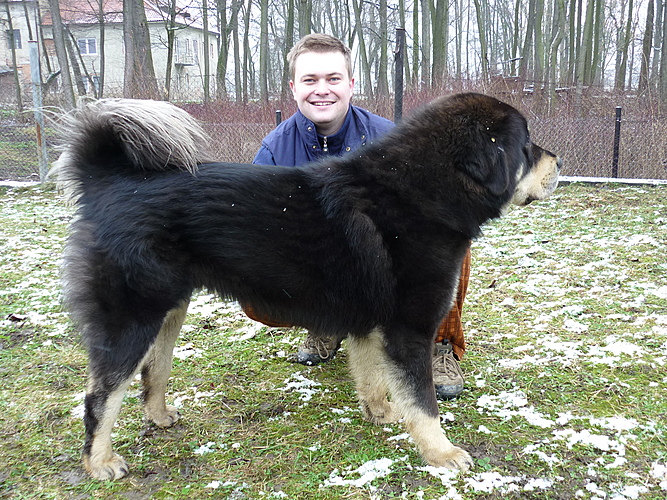 Leden 2011