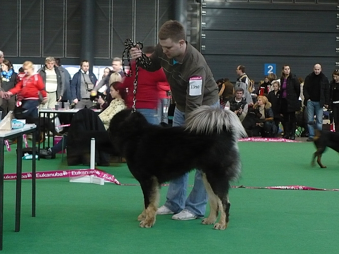 Duo CACIB Brno 2011