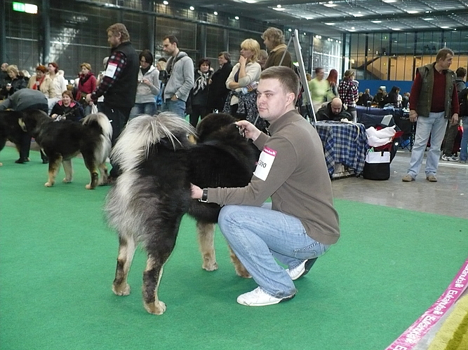 Duo CACIB Brno 2011