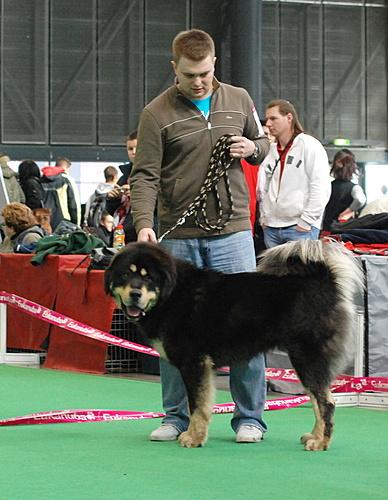 Duo CACIB Brno 2011