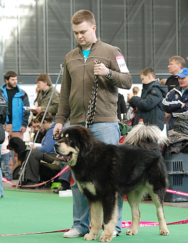 Duo CACIB Brno 2011