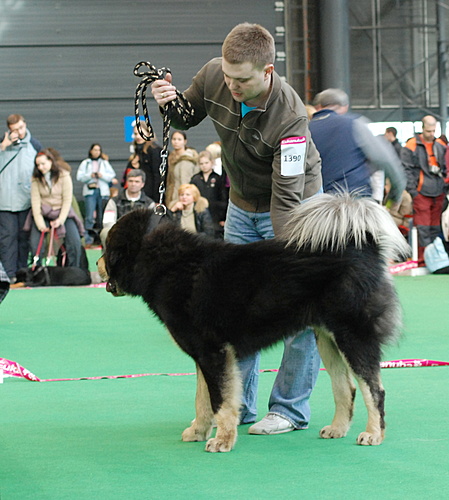 Duo CACIB Brno 2011