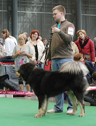 Duo CACIB Brno 2011