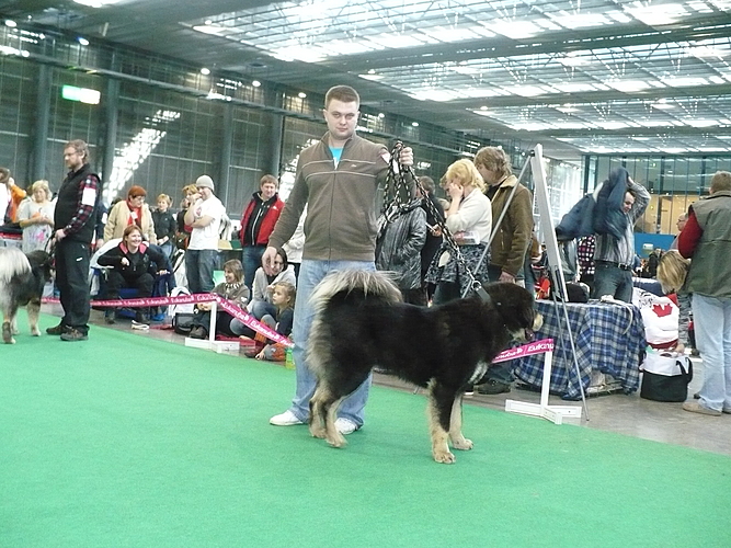 Duo CACIB Brno 2011