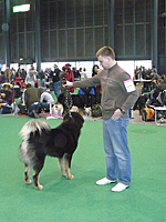 Duo CACIB Brno 2011 | ASIM - Tibeťák | Tibetská doga