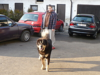 Březen 2011 | ASIM - Tibeťák | Tibetská doga