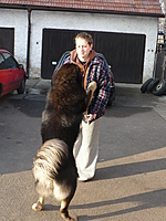 Březen 2011 | ASIM - Tibeťák | Tibetská doga