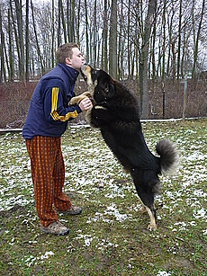 Leden 2011, ASIM - Tibeťák | ASIM - Tibeťák | Tibetská doga