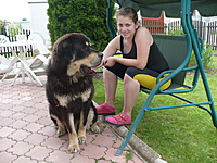 Květen 2011 | ASIM - Tibeťák | Tibetská doga