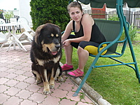 Květen 2011 | ASIM - Tibeťák | Tibetská doga