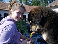 Červen 2011 | ASIM - Tibeťák | Tibetská doga