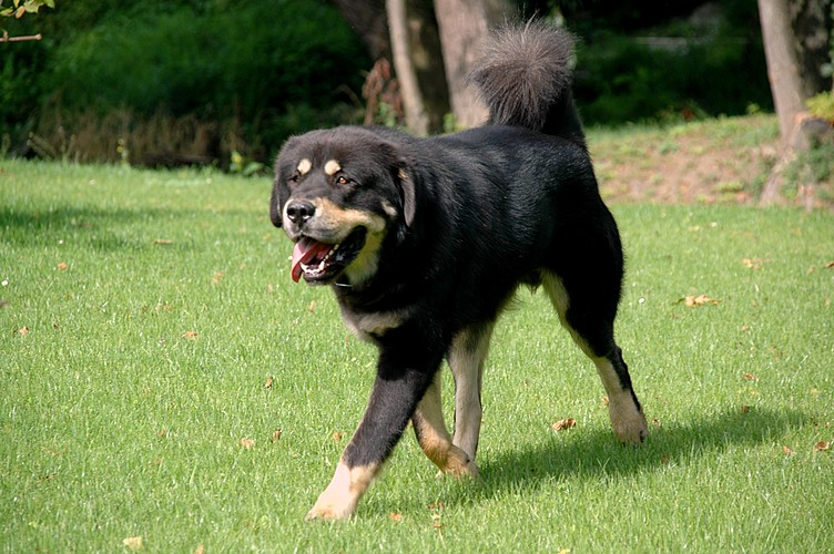 Září 2011