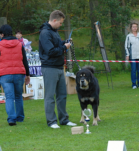 SV KTD ČR Kladno 24.9.2011 - předání titulu Junior šampion KTD ČR