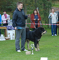 SV KTD ČR Kladno 24.9.2011 - předání titulu Junior šampion KTD ČR, foto: Toncarovi | ASIM - Tibeťák | Tibetská doga