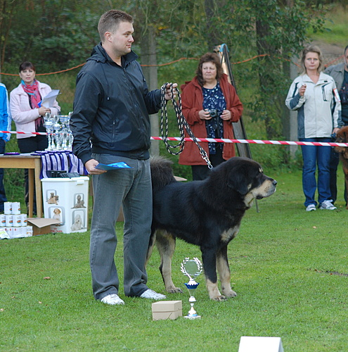SV KTD ČR Kladno 24.9.2011 - předání titulu Junior šampion KTD ČR